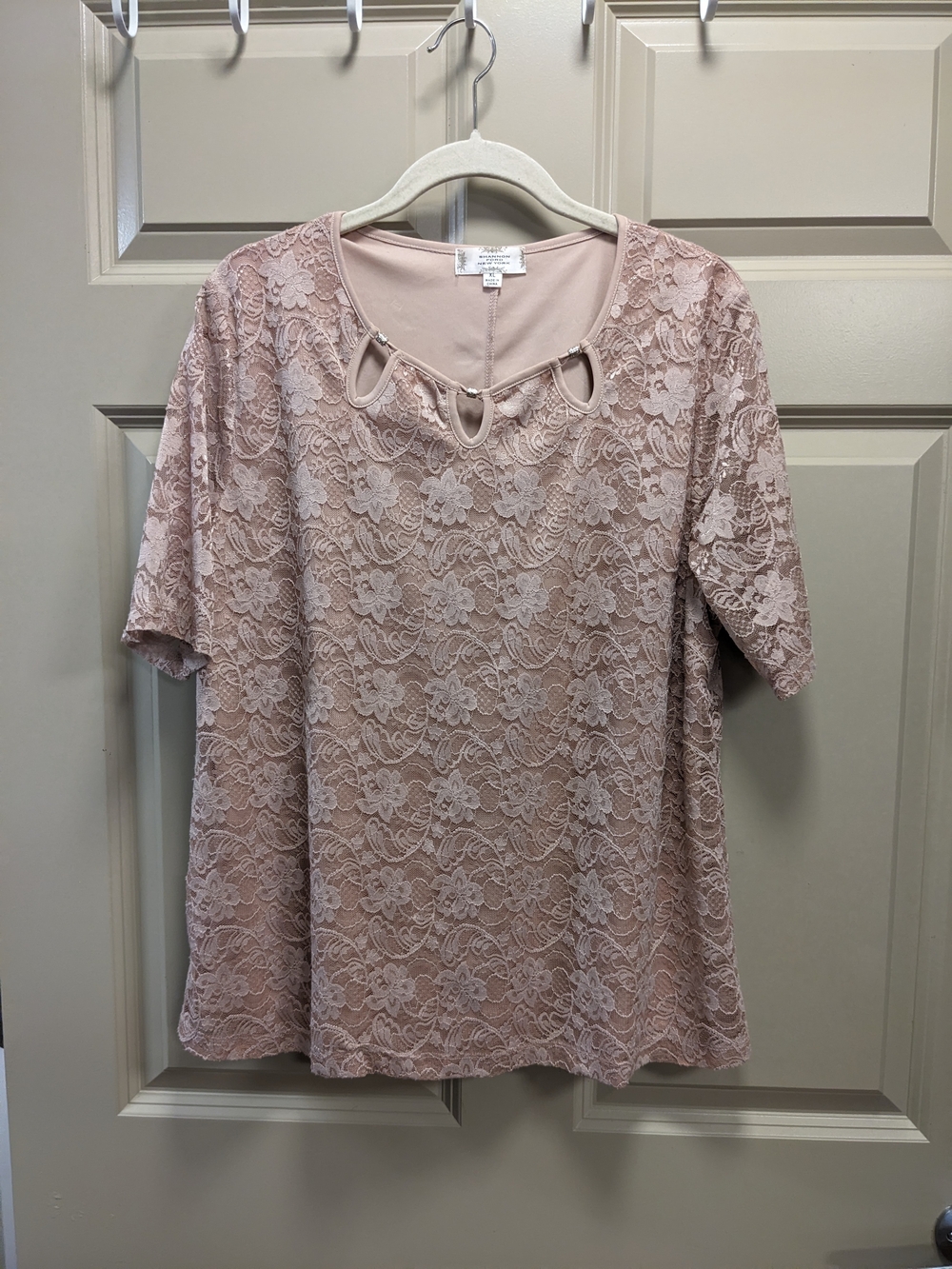 Shannon Ford New York Floral Lace Short Sleeve Blouse - Blush Size XL